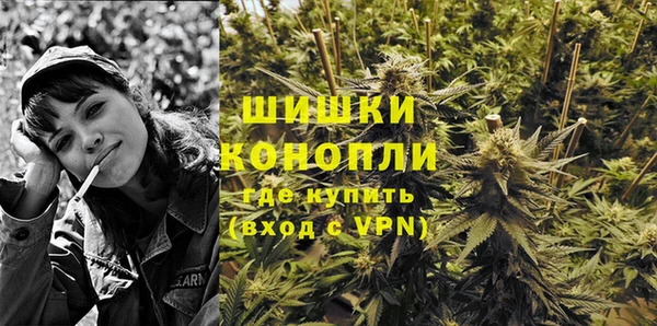 гидропоника Дмитровск